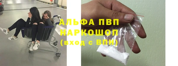амф Магас