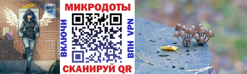 Купить  Большой Камень  Галлюциногенные грибы мицелий 